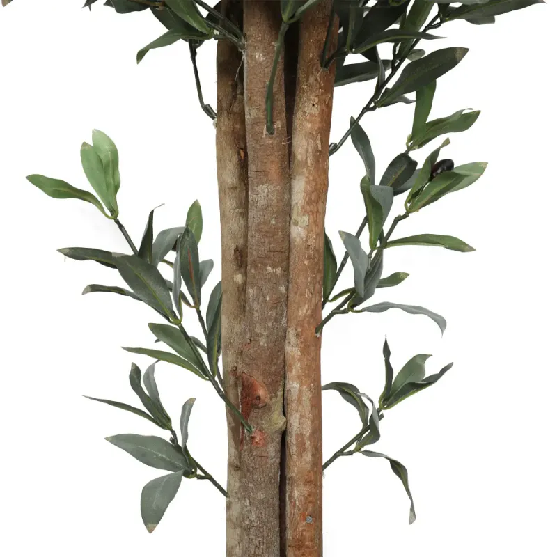Oliven tre 150 cm