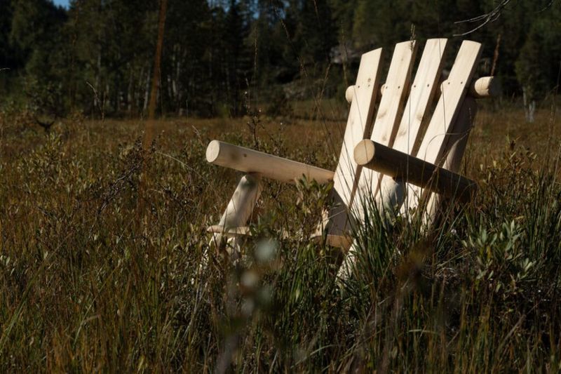 Michigan stol - Sedertre *