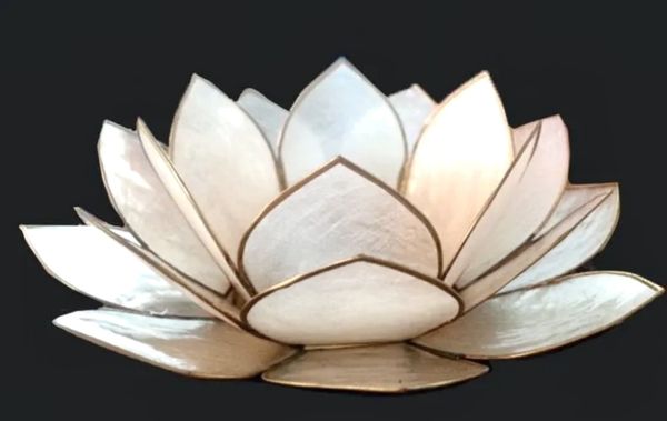 Telysholder White Lotus