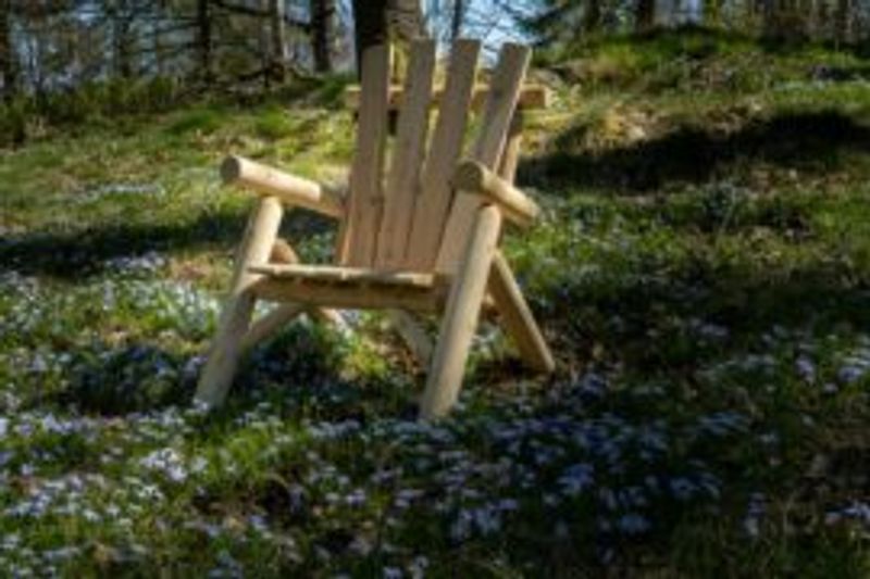 Michigan stol - Sedertre *