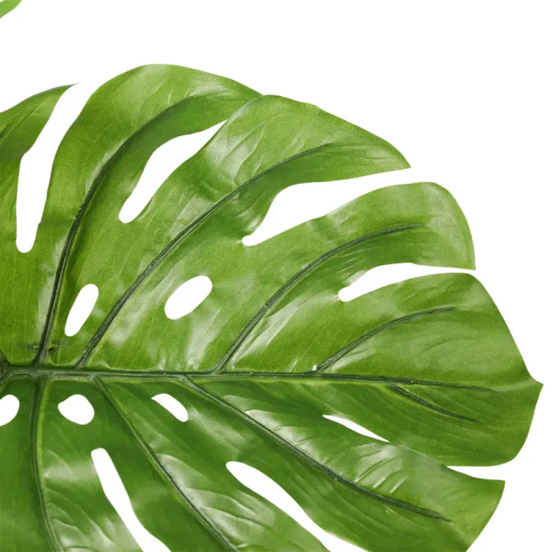 Monstera stor H 100